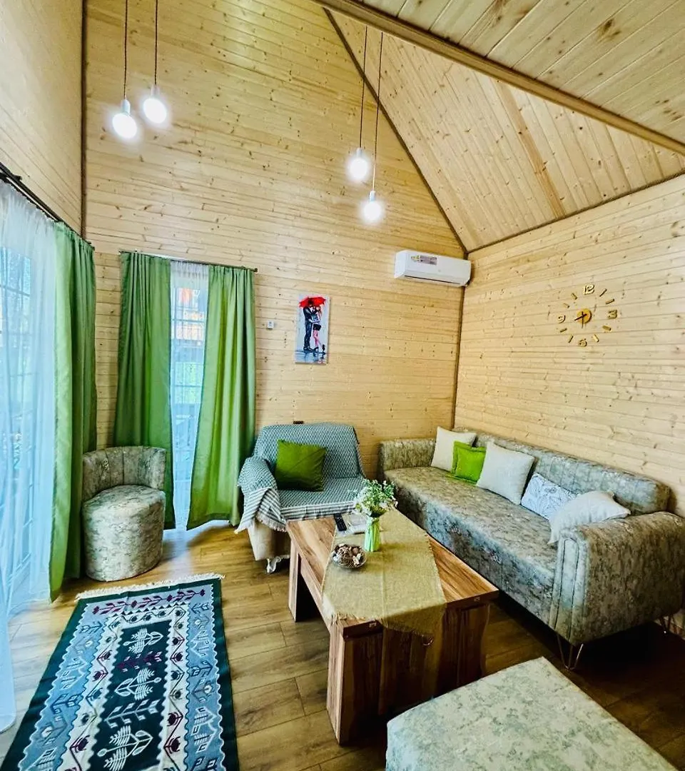 Luxurious Cottages In Batumi With A Pool 0*,