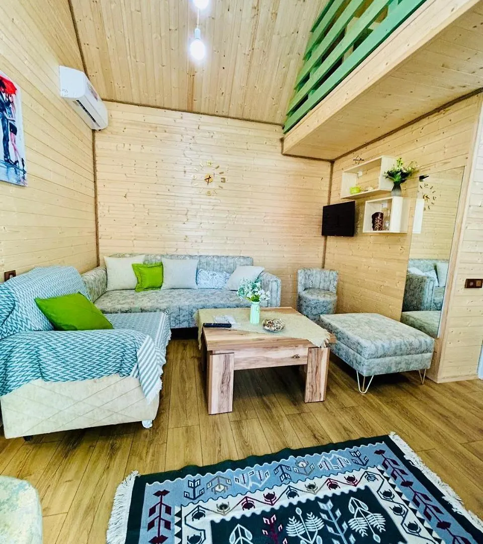 Luxurious Cottages In Batumi With A Pool
