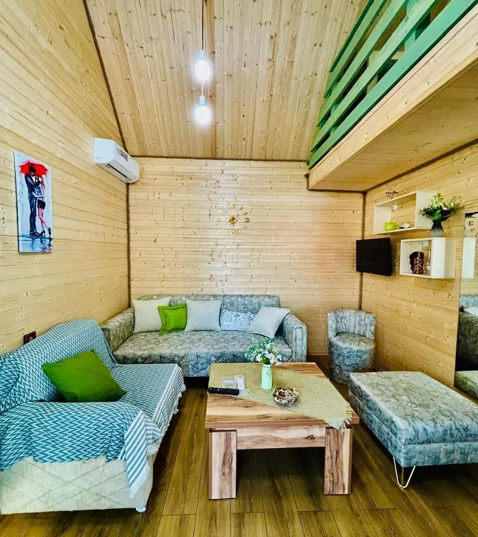 Luxurious Cottages In Batumi With A Pool Georgia