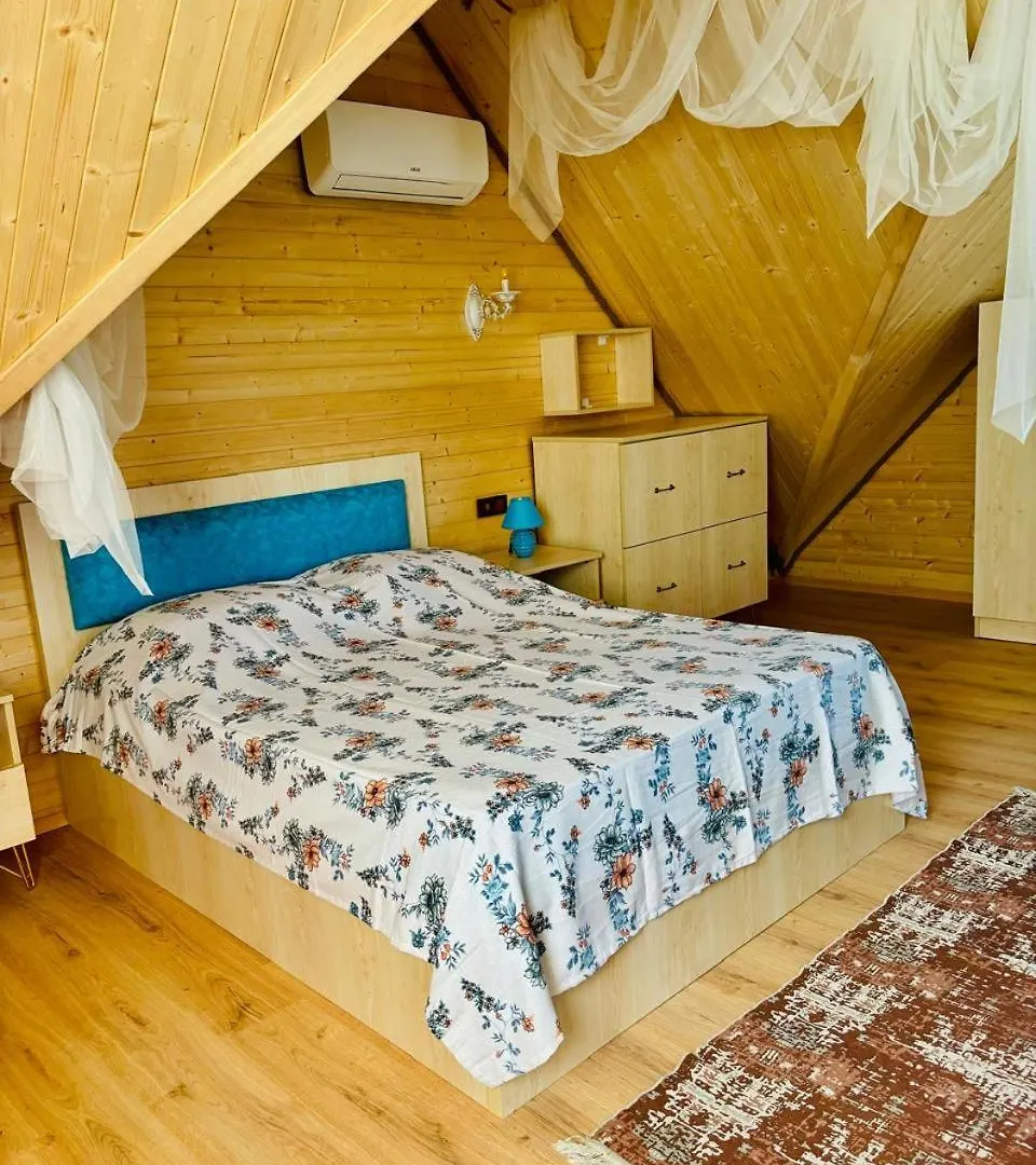Luxurious Cottages In Batumi With A Pool Apartment