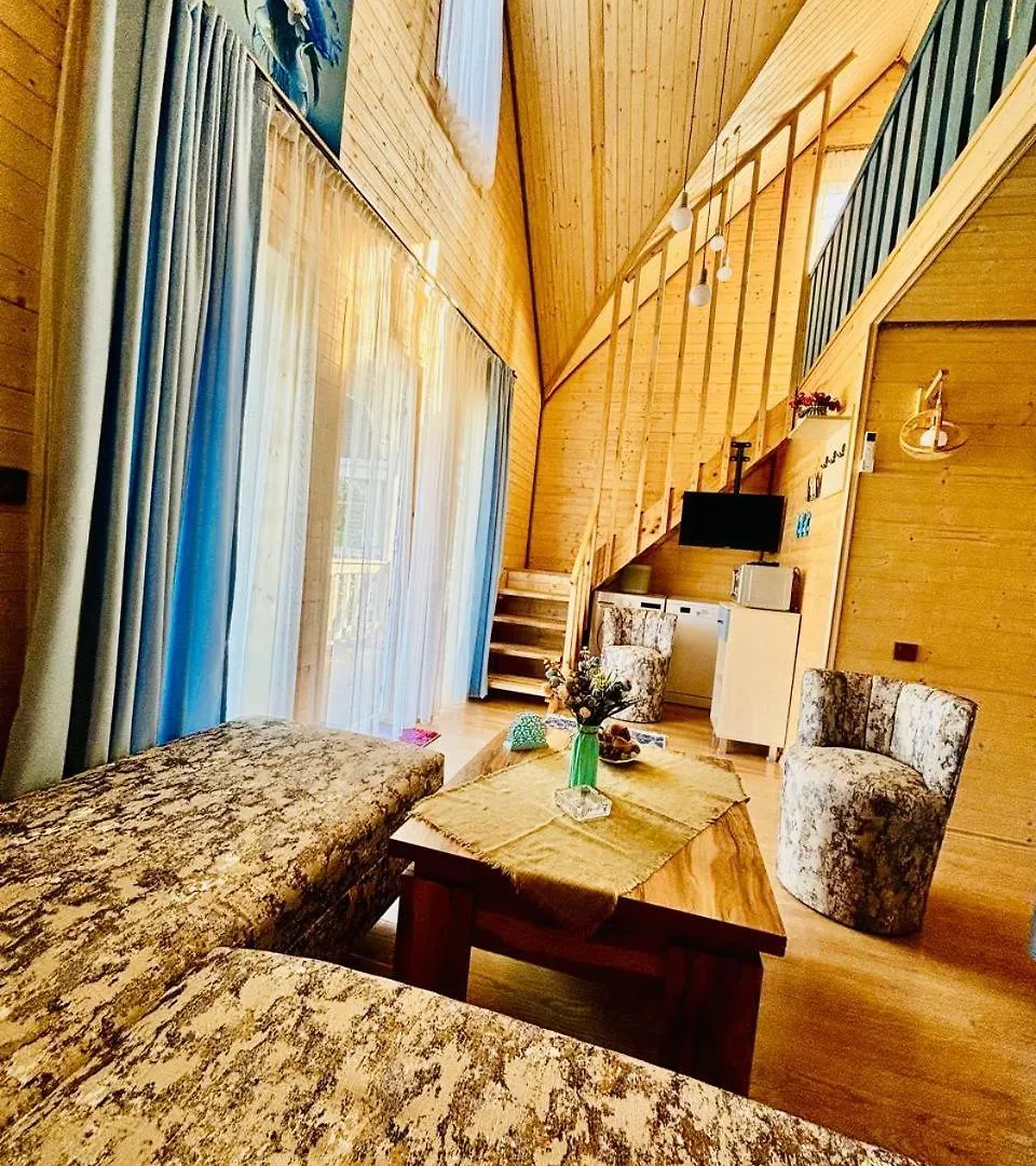 Apartment Luxurious Cottages In Batumi With A Pool Georgia